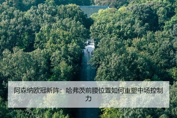 a-sen-na-ou-guan-xin-zhen-ha-fu-ci-qian-yao-wei-zhi-ru-he-zhong-su-zhong-chang-kong-zhi-li-2-407.jpg