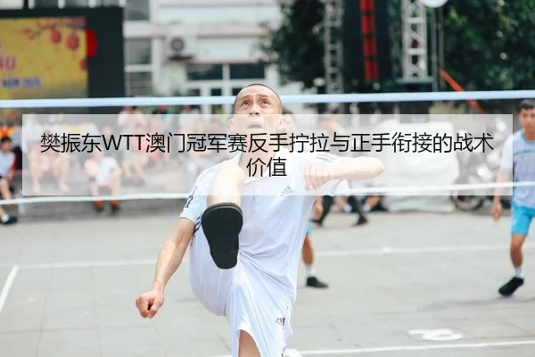 樊振东WTT澳门冠军赛反手拧拉与正手衔接的战术价值