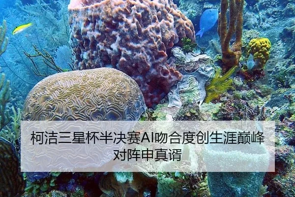 柯洁三星杯半决赛AI吻合度创生涯巅峰 对阵申真谞