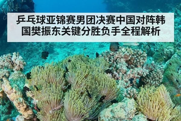 乒乓球亚锦赛男团决赛中国对阵韩国樊振东关键分胜负手全程解析